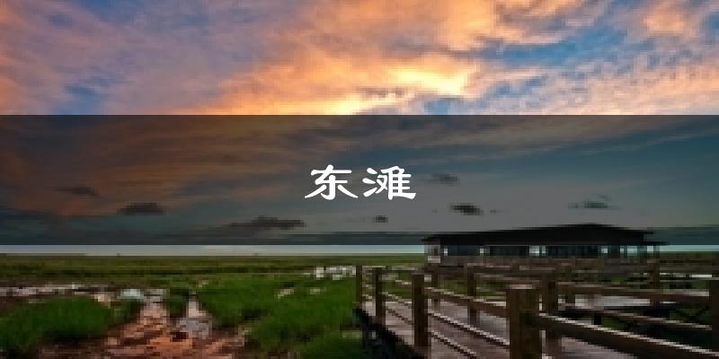 东滩天气未来15天