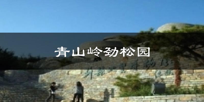青山岭劲松园天气未来15天