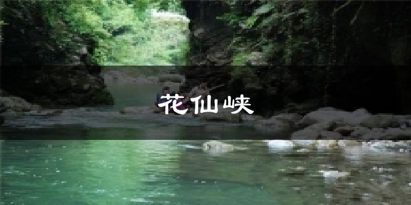 花仙峡天气未来15天