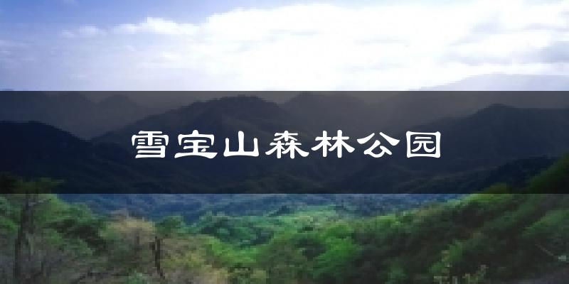 雪宝山森林公园今日天气