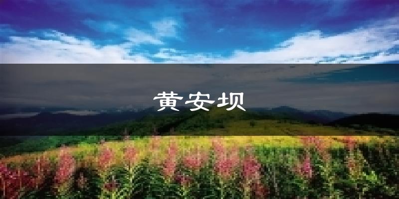 黄安坝天气未来15天