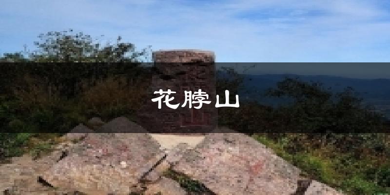 花脖山今日天气