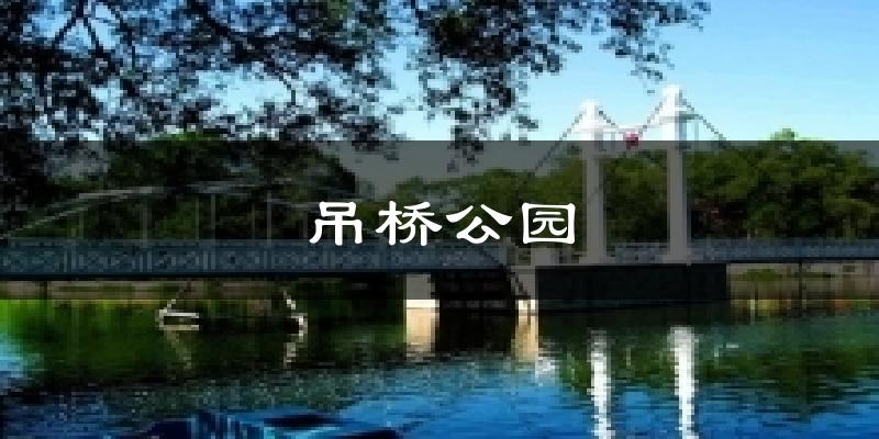 吊桥公园气温