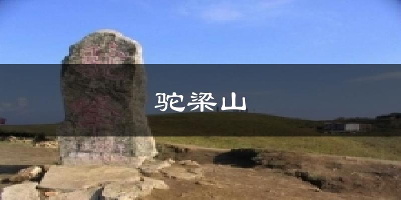 驼梁山天气未来15天
