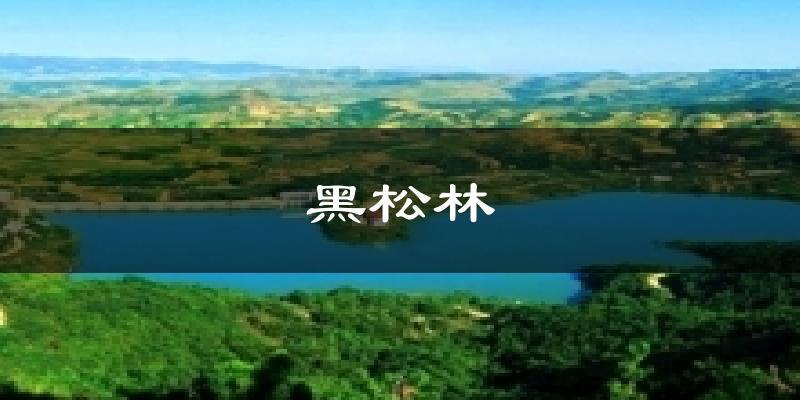 黑松林天气未来15天