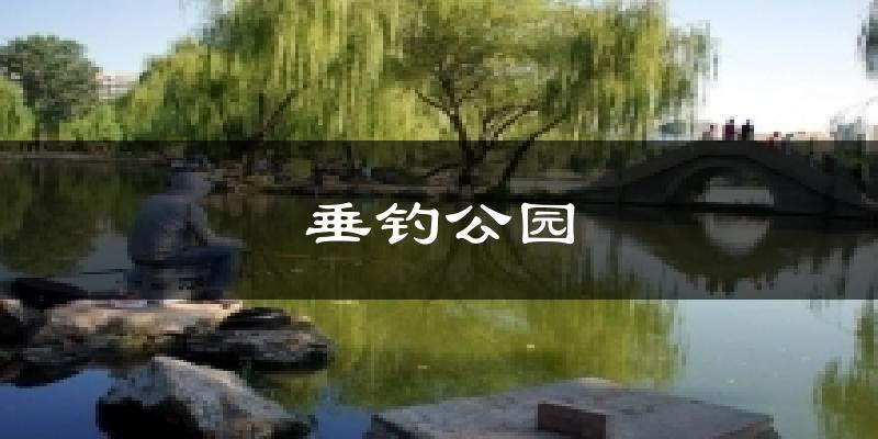 垂钓公园天气未来15天
