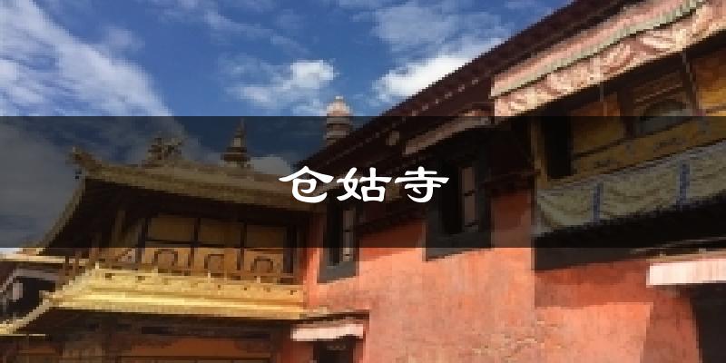 仓姑寺天气未来15天