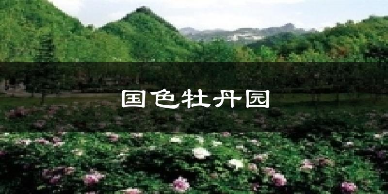 国色牡丹园天气未来15天