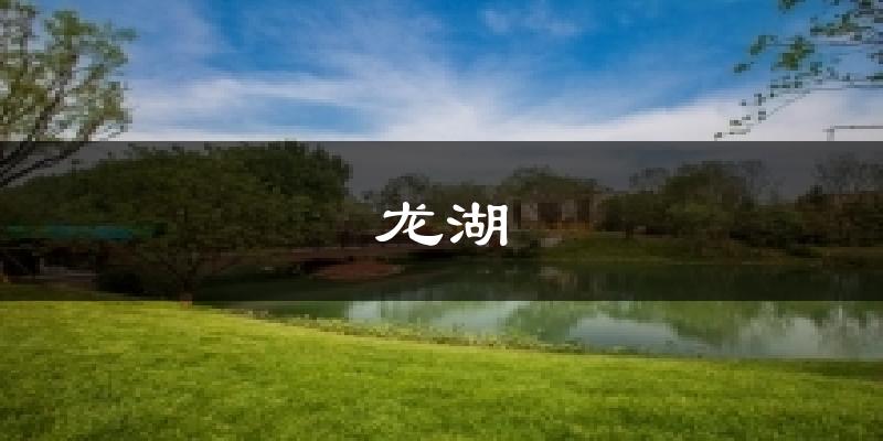 龙湖天气未来15天
