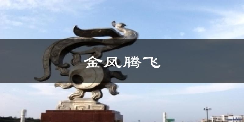 金凤腾飞天气未来15天