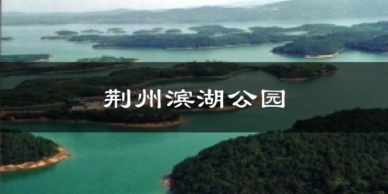 荆州滨湖公园今日天气