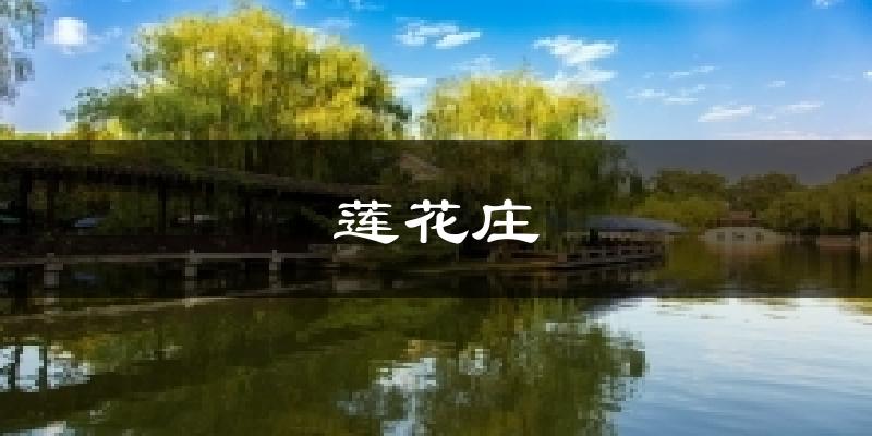 莲花庄天气未来15天