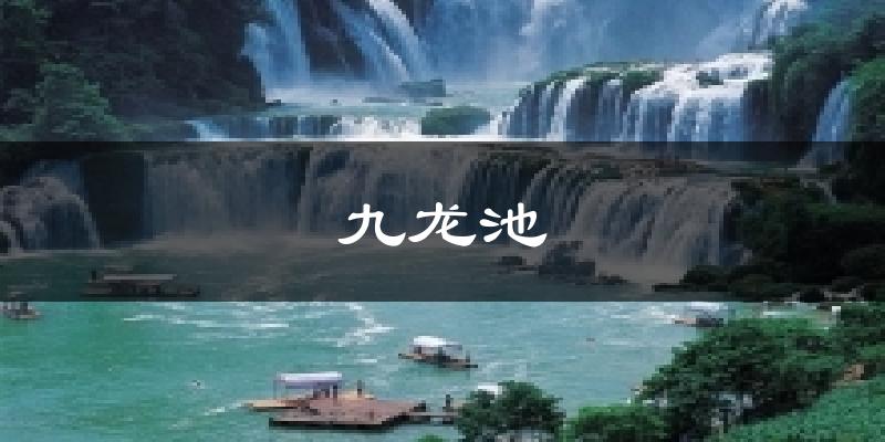 九龙池气温