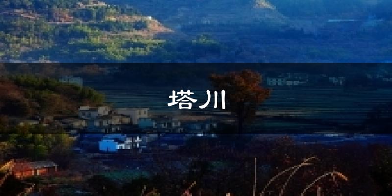 塔川今日天气