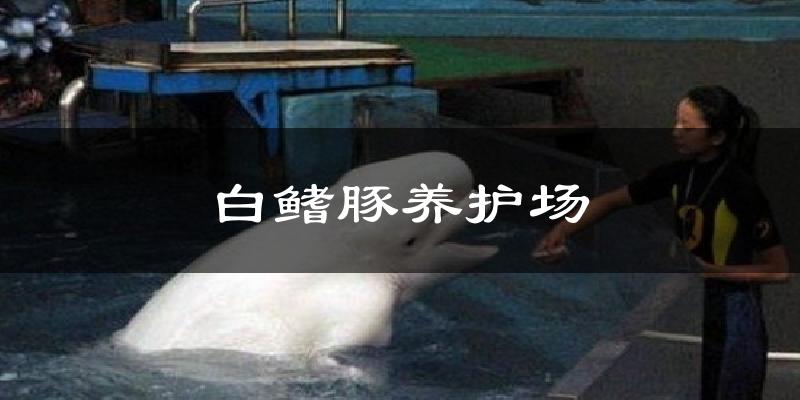 白鳍豚养护场天气未来15天