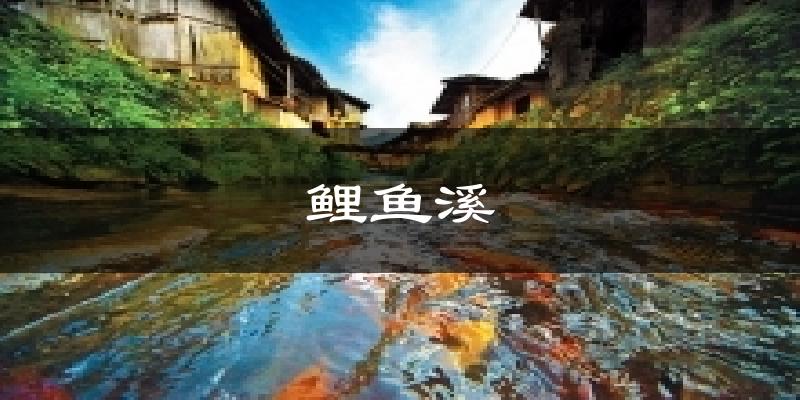 鲤鱼溪今日天气
