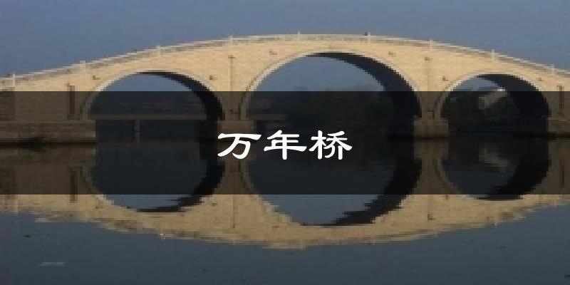 万年桥天气未来15天