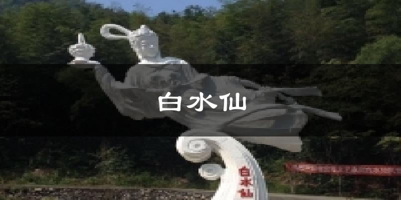 白水仙天气未来15天