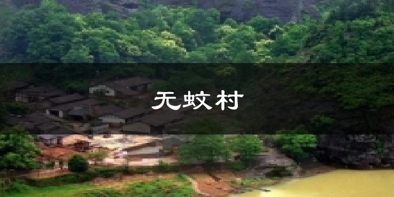 无蚊村今日天气