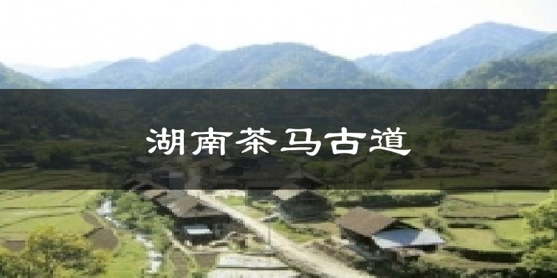 湖南茶马古道天气未来15天