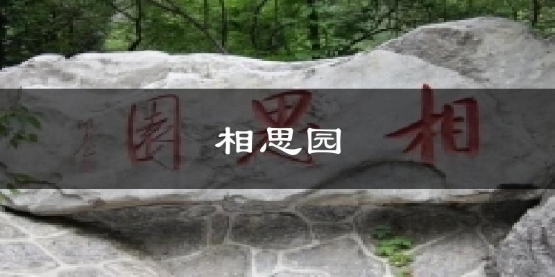 相思园天气未来15天