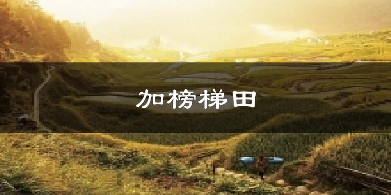 加榜梯田天气未来15天