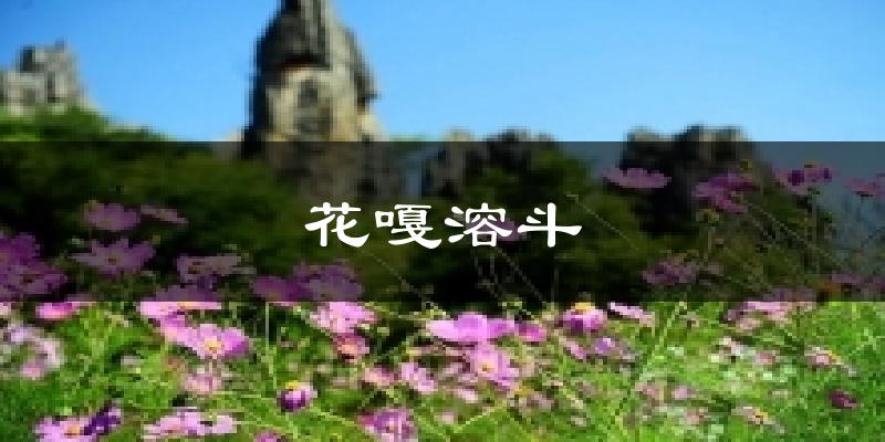 花嘎溶斗天气未来15天