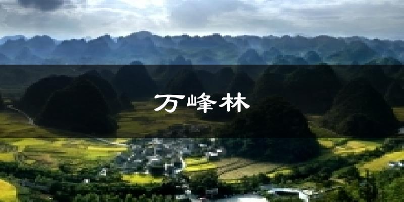 万峰林天气未来15天