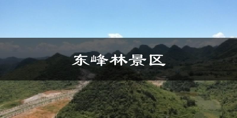 东峰林景区天气未来15天