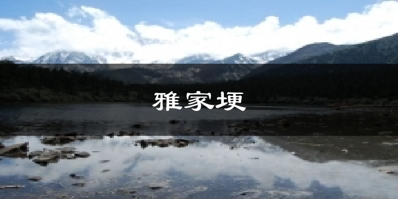 雅家埂天气未来15天