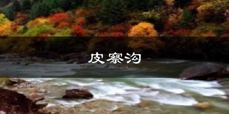 皮察沟天气未来15天