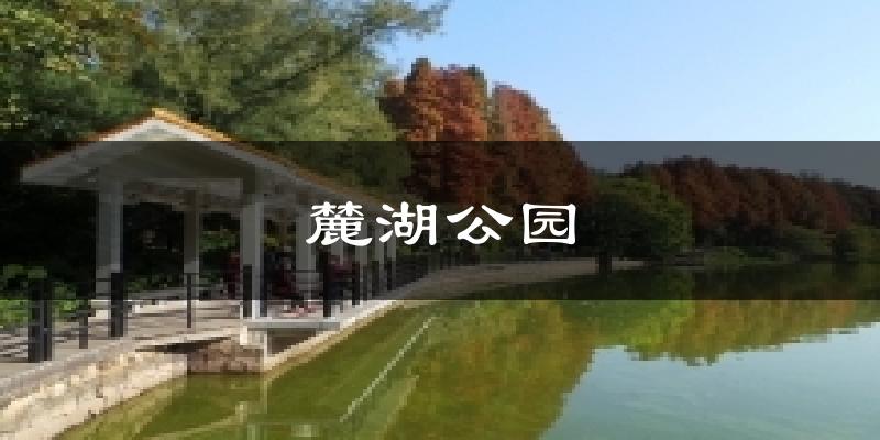 麓湖公园今日天气