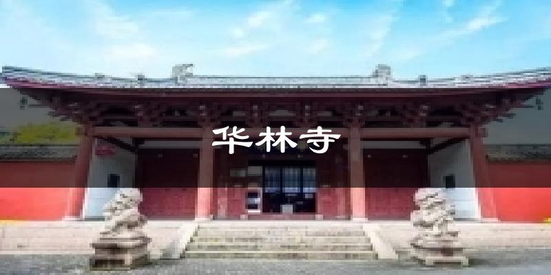 华林寺气温