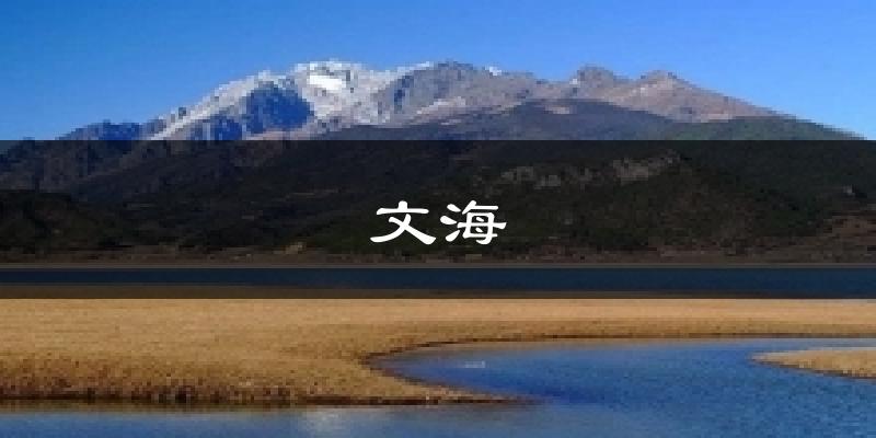 文海今日天气