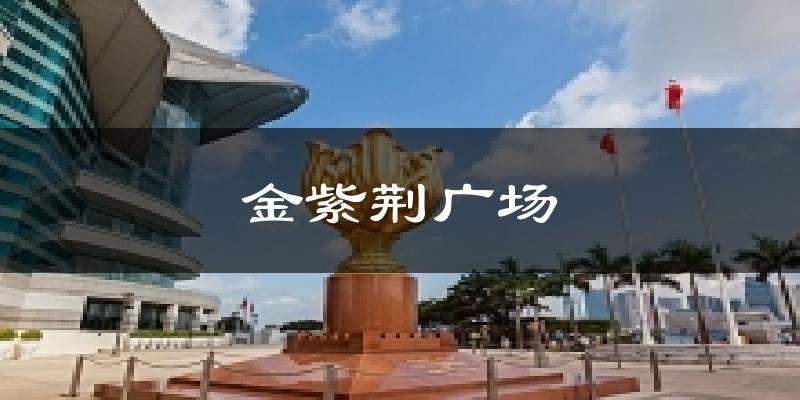 金紫荆广场今日天气