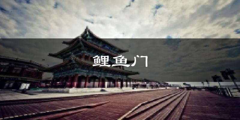 鲤鱼门天气未来15天