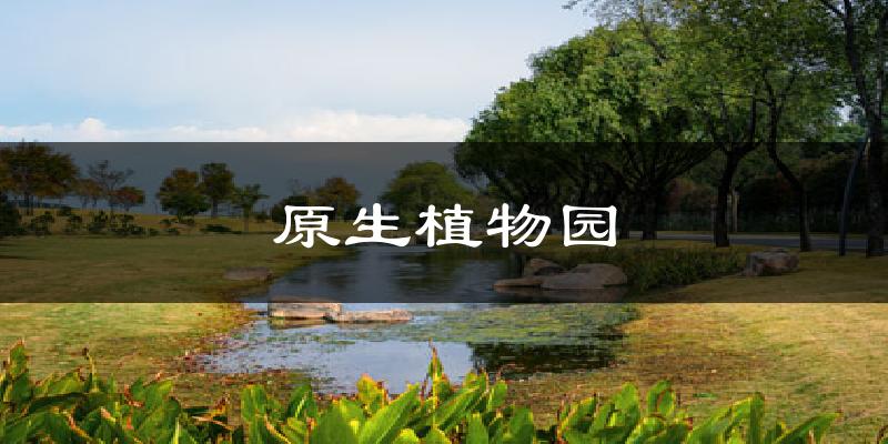 原生植物园气温